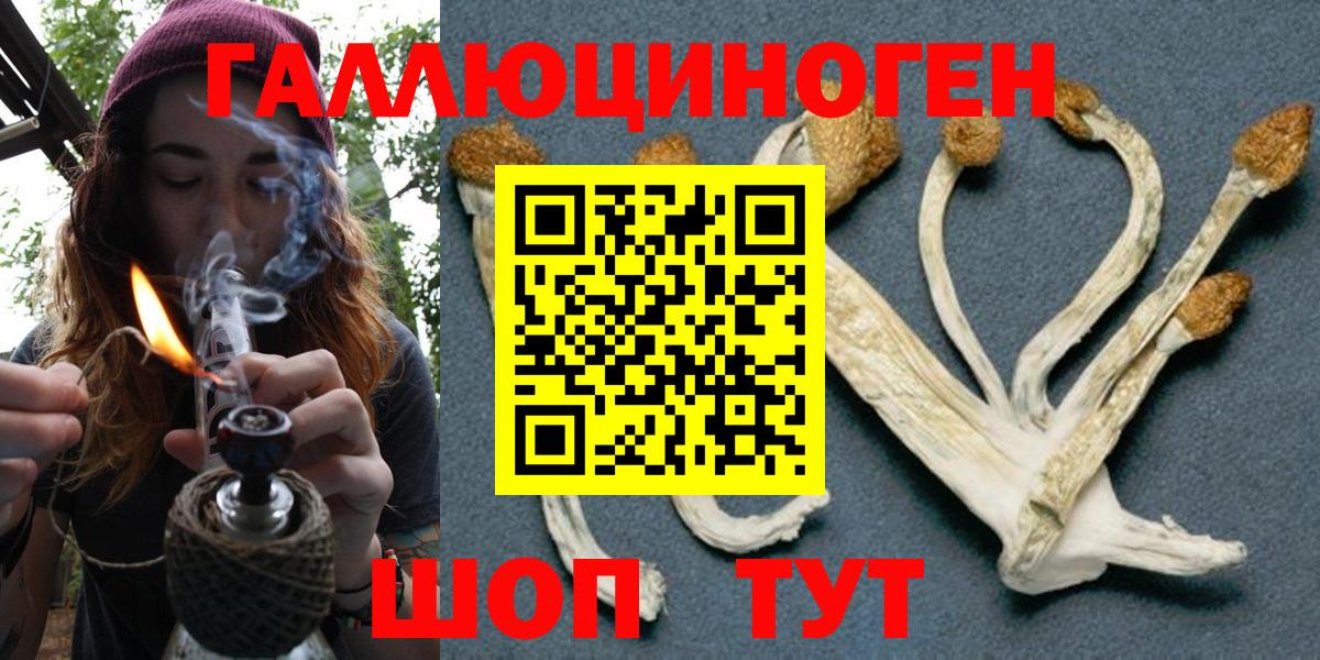 Галлюциногенные грибы мухоморы Энгельс